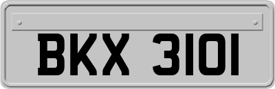 BKX3101