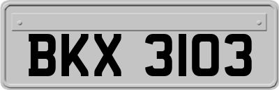 BKX3103