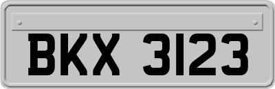 BKX3123