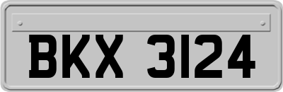 BKX3124