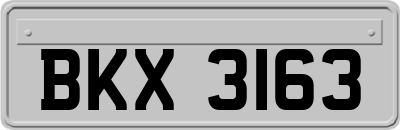 BKX3163