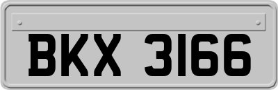 BKX3166