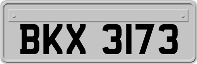 BKX3173