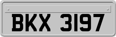BKX3197