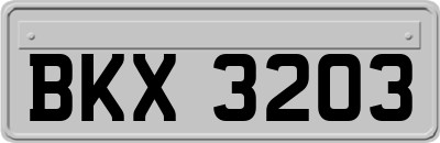 BKX3203