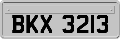 BKX3213