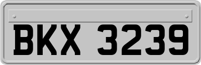BKX3239