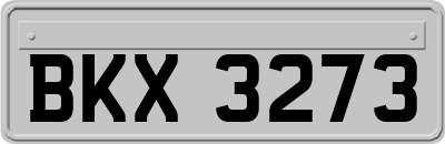 BKX3273