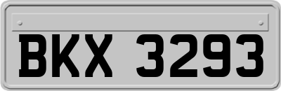 BKX3293