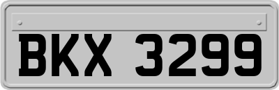 BKX3299