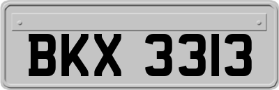 BKX3313