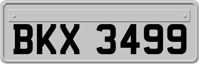 BKX3499