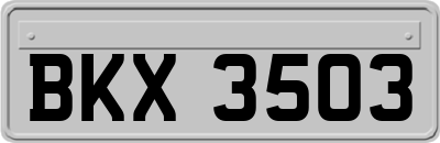 BKX3503