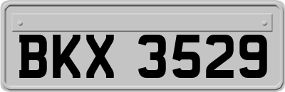 BKX3529