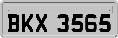 BKX3565