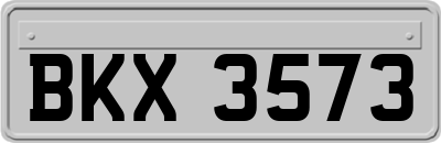 BKX3573