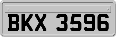 BKX3596