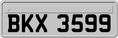 BKX3599
