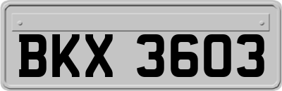 BKX3603