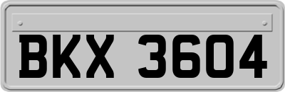 BKX3604