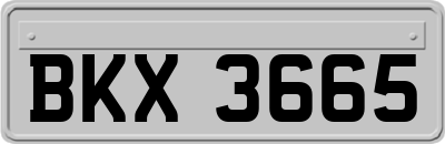 BKX3665