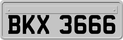BKX3666