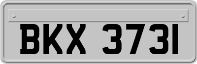 BKX3731