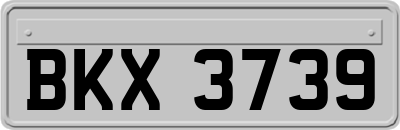 BKX3739