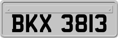 BKX3813