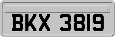 BKX3819