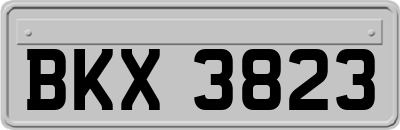BKX3823