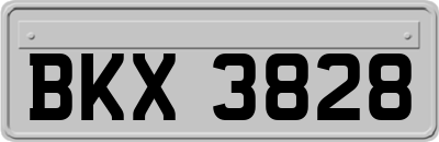 BKX3828