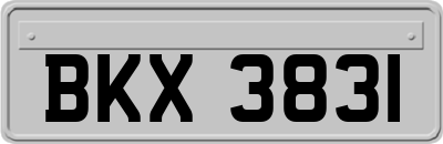 BKX3831