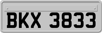 BKX3833