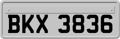 BKX3836
