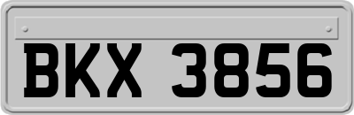 BKX3856