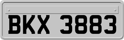 BKX3883