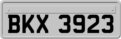 BKX3923