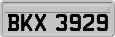 BKX3929