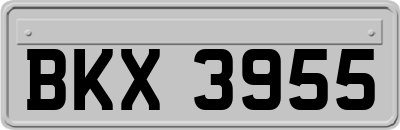 BKX3955