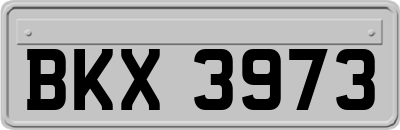 BKX3973