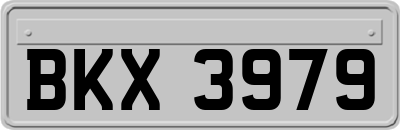 BKX3979