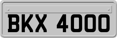 BKX4000