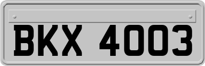 BKX4003
