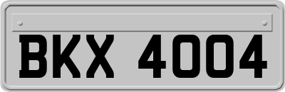 BKX4004