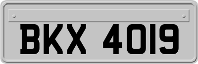 BKX4019