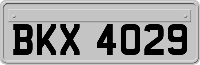 BKX4029