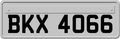 BKX4066