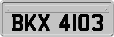 BKX4103