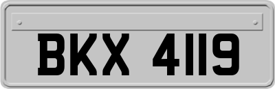 BKX4119